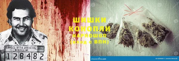 молекула духа Рославль