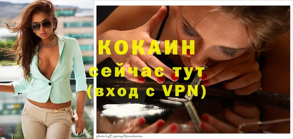 ешки Верхний Тагил